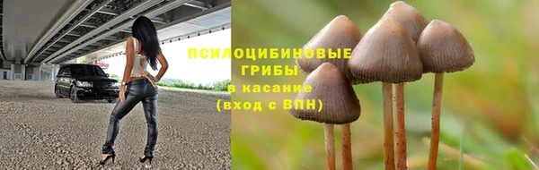 бошки Алексин