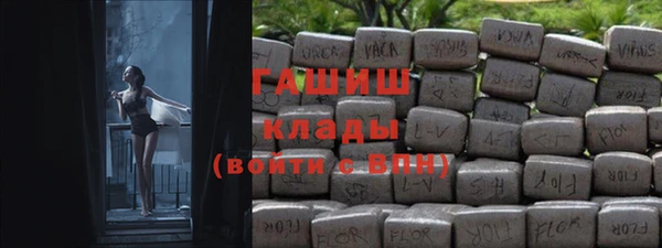 сатива Алзамай