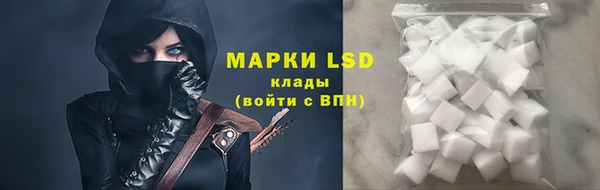 сатива Алзамай