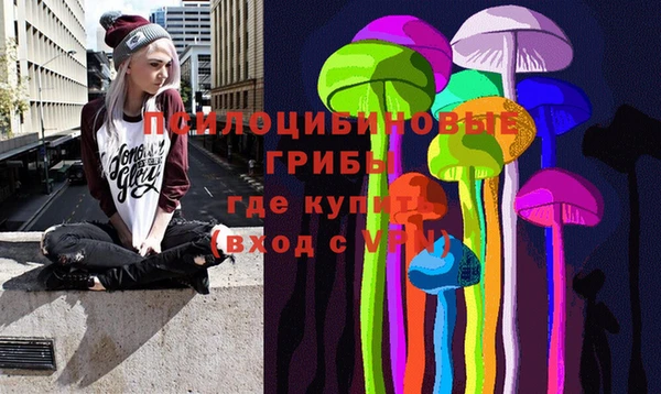бошки Алексин
