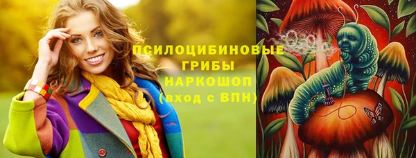 сатива Алзамай